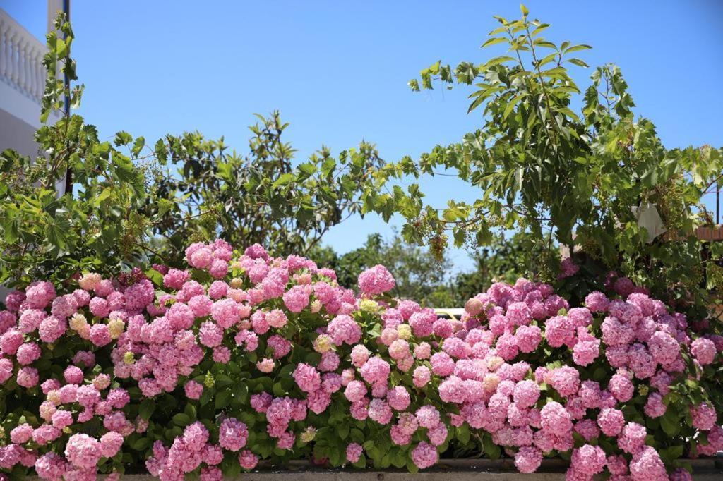 Guest House Narta Vlore Bagian luar foto