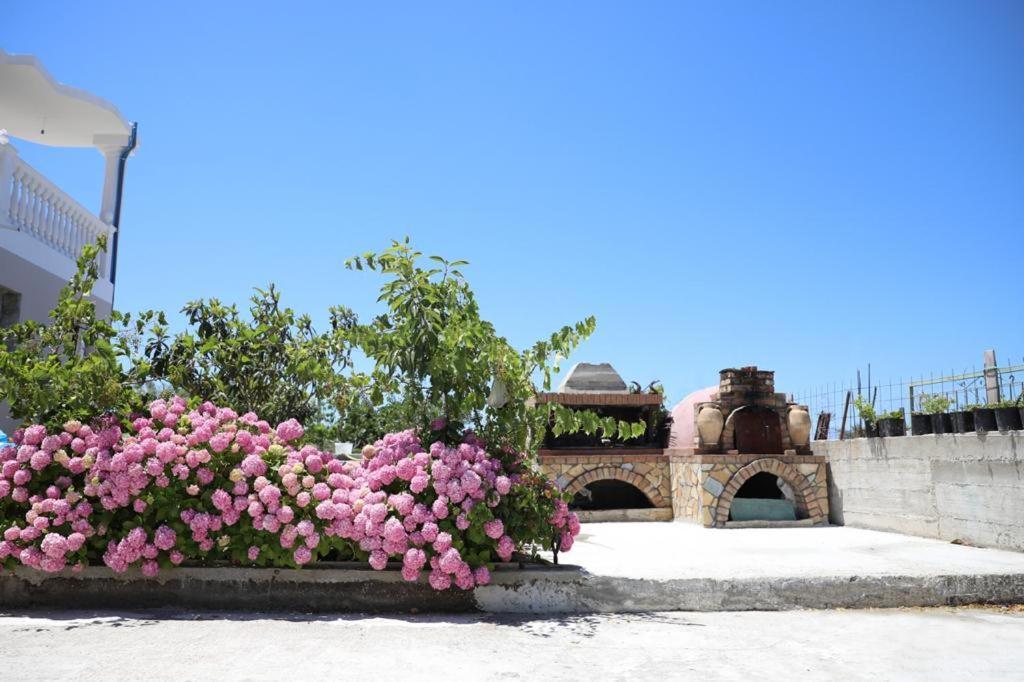 Guest House Narta Vlore Bagian luar foto