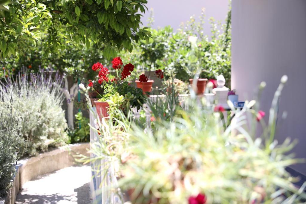 Guest House Narta Vlore Bagian luar foto