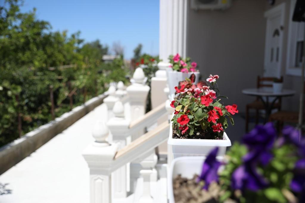 Guest House Narta Vlore Bagian luar foto