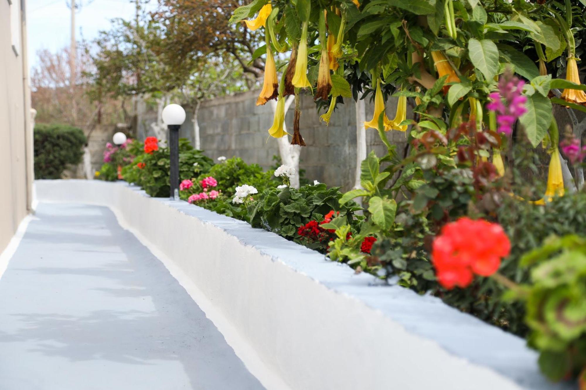 Guest House Narta Vlore Bagian luar foto